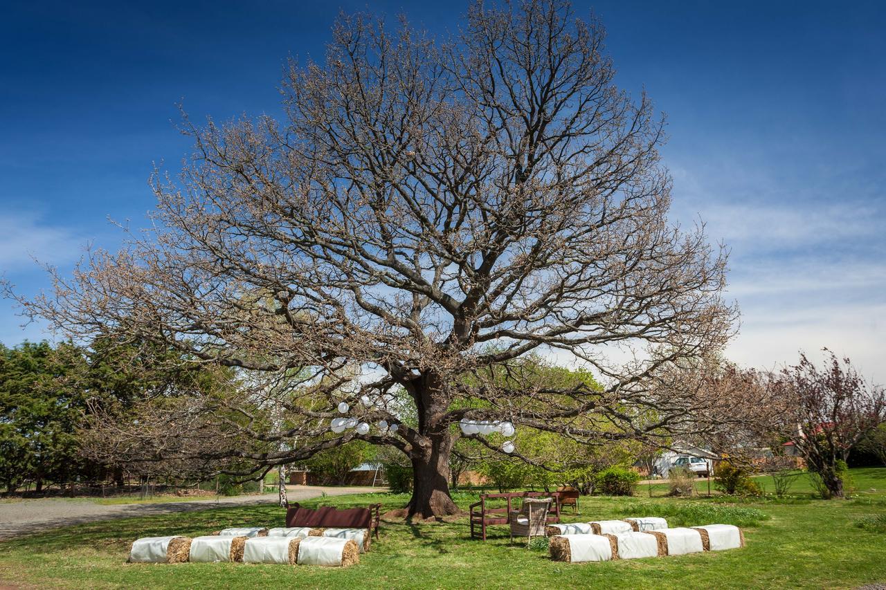 Ratho Farm Hotel Bothwell Buitenkant foto